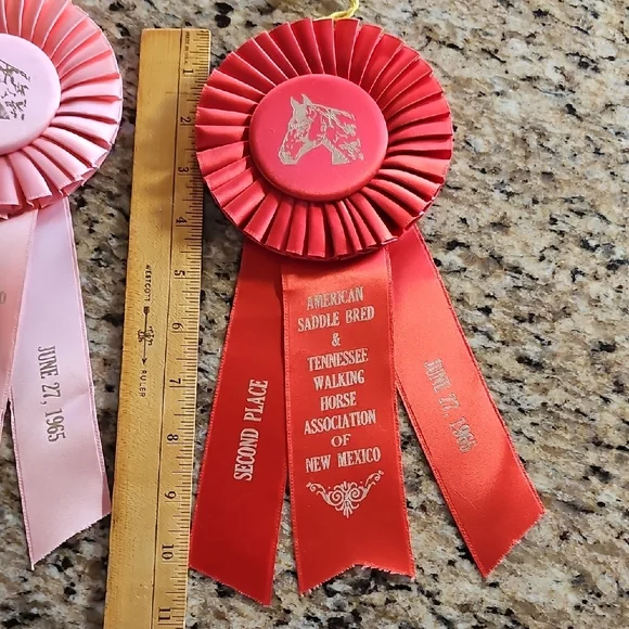 3 Vintage 1965 American Saddle Bred Tennessee Walker horse show rosettes ribbons - Picture 9 of 14